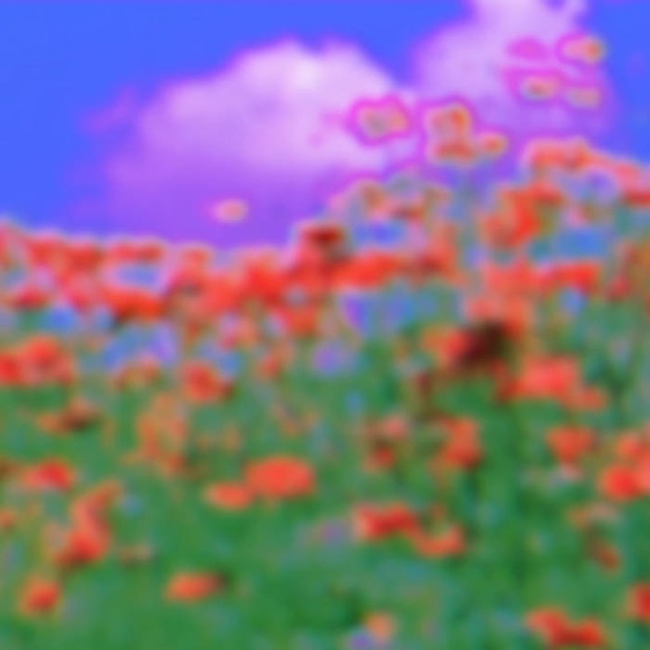 Hashflowers cover